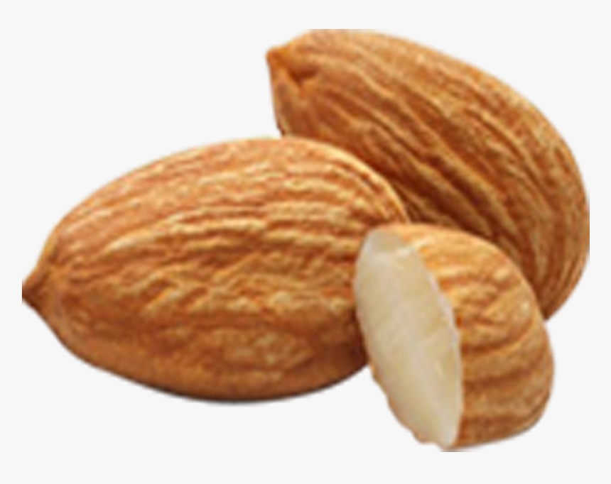 Almond Amygdalin Nut Apricot Kernel Seed - Almond Png, Transparent Png, Free Download