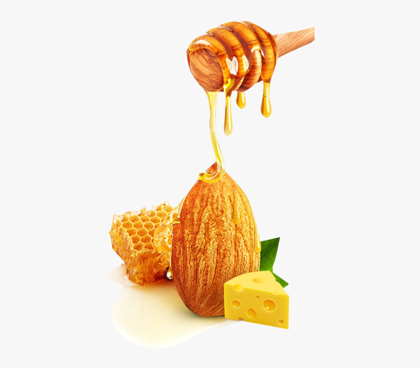 Honey Nut Png - Honey Almond Transparent Background, Png Download, Free Download