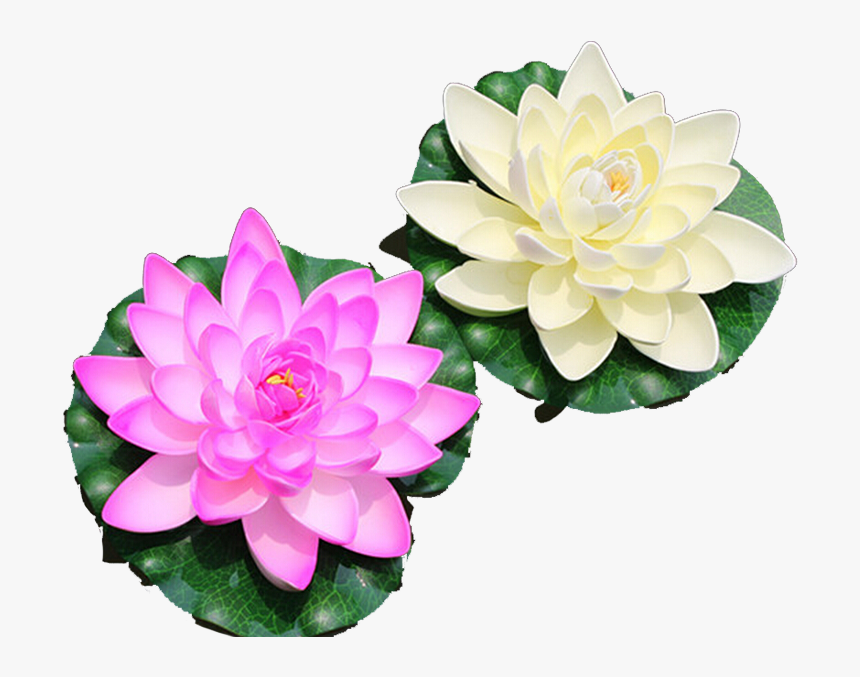 Water Lily Nelumbo Nucifera Artificial Flower Lotus - 佛教 莲花, HD Png Download, Free Download