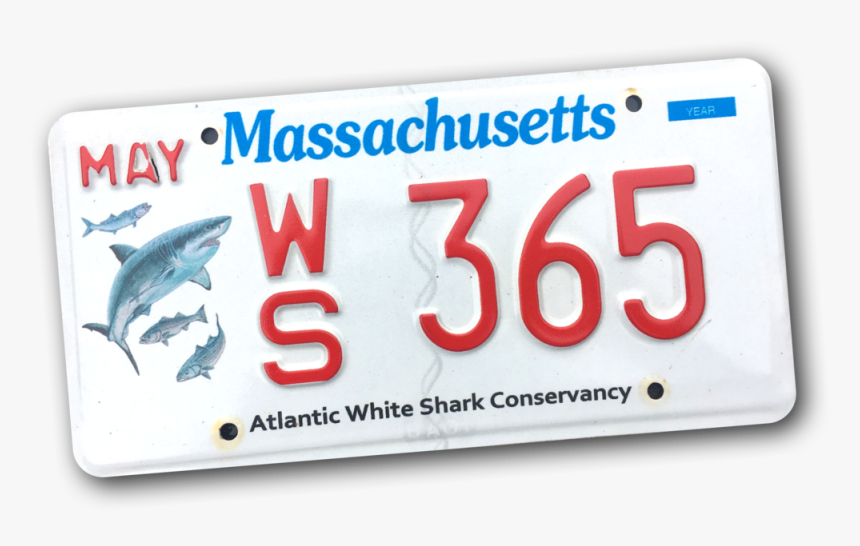 Ws Plate - Mass White Shark Plates, HD Png Download, Free Download