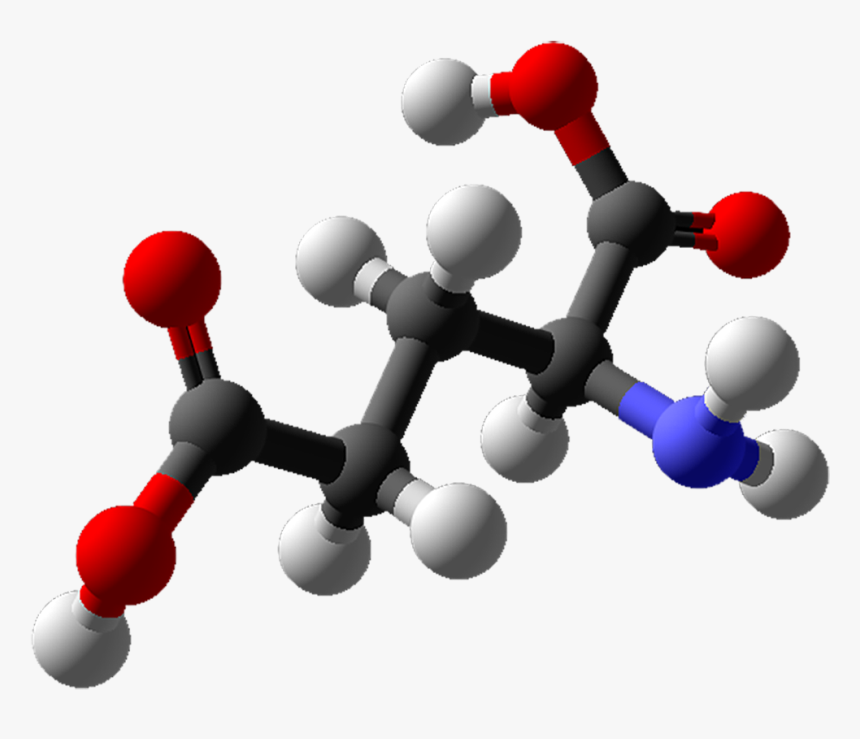 File - Glutamic Ac - Glutamic Acid 3d Model, HD Png Download, Free Download