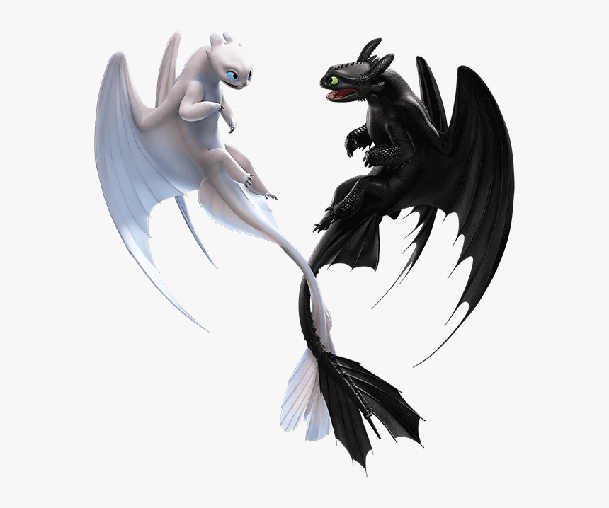 Train Your Dragon 3 Light Fury And Toothless, HD Png Download - kindpng