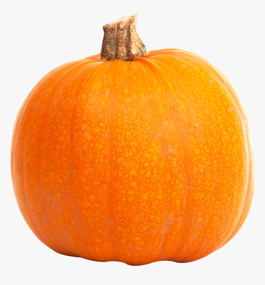 Fresh Orange Pumpkin Png Image - Pumpkin, Transparent Png, Free Download