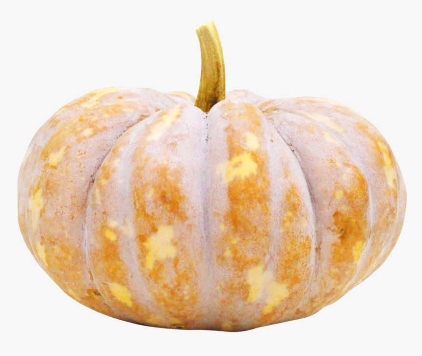 Pumpkin Png Image - Pumpkin Png, Transparent Png, Free Download