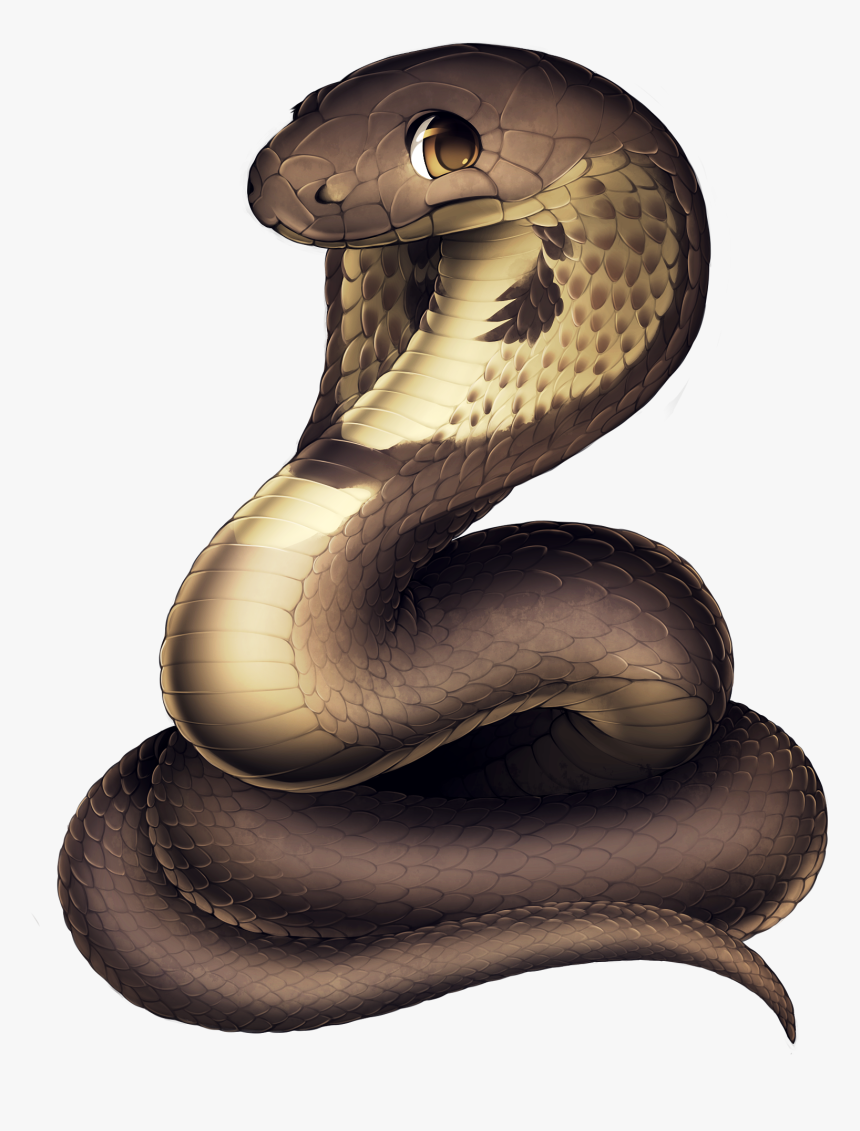 Snakes Cobras Portable Network Graphics Reptile - Snakes Cobra, HD Png Download, Free Download
