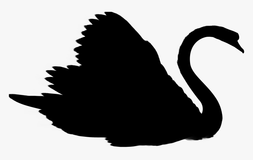 Duck Swans Goose Clip Art Silhouette - Illustration, HD Png Download, Free Download