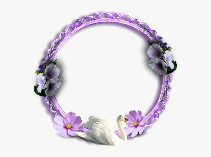 Png Swan Bird Free Picture - Bracelet, Transparent Png, Free Download