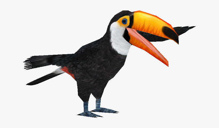 Tocotoucanad - Toucan, HD Png Download, Free Download