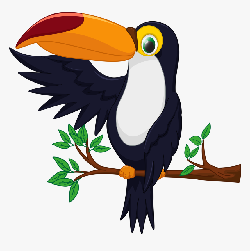 Toucan Clipart Png, Transparent Png, Free Download