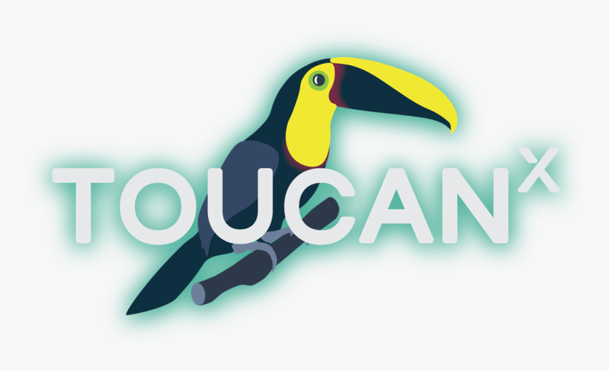 It"s A Jungle Out There - Toucan, HD Png Download, Free Download