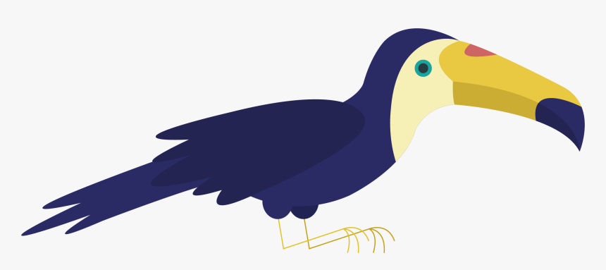 Bird Parrot Toucan Wildlife - Rallidae, HD Png Download, Free Download