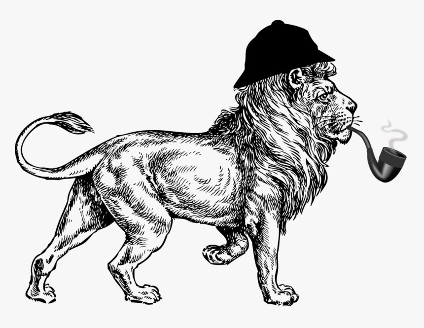 Sherlock Lion - Expedition Maasai Safaris, HD Png Download, Free Download