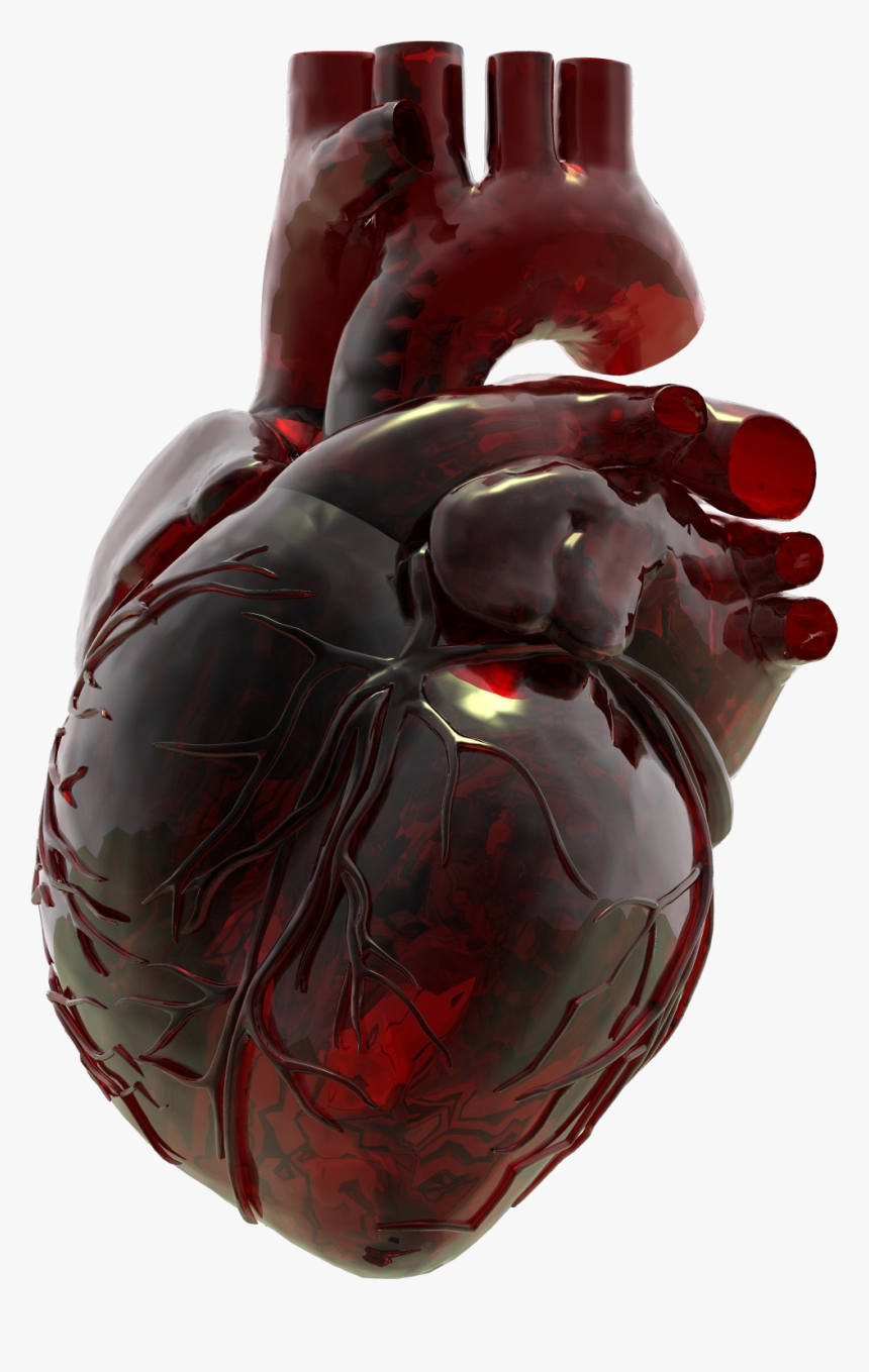 Blown Glass Human Heart, HD Png Download, Free Download