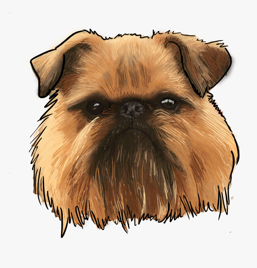 Brussels Griffon Png, Transparent Png, Free Download