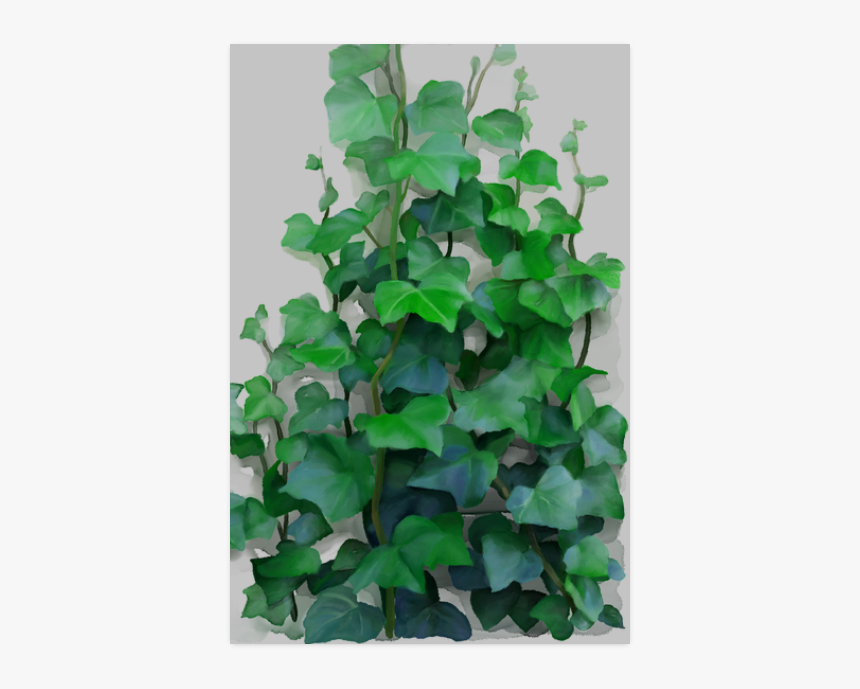 Vines, Climbing Plant Poster 20"x30" - Png Climbing Vines, Transparent Png, Free Download