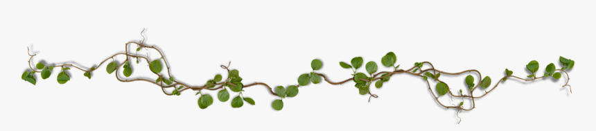 Twig, HD Png Download, Free Download