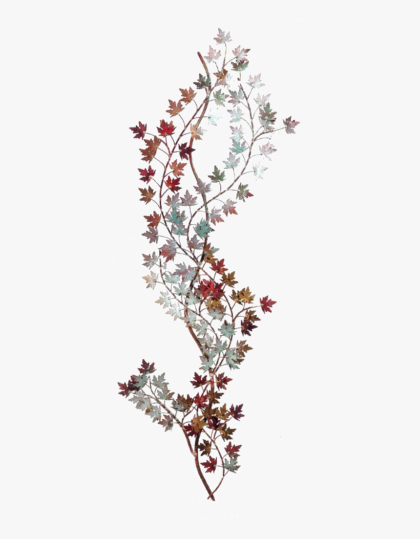 Wall Vines Png, Transparent Png, Free Download