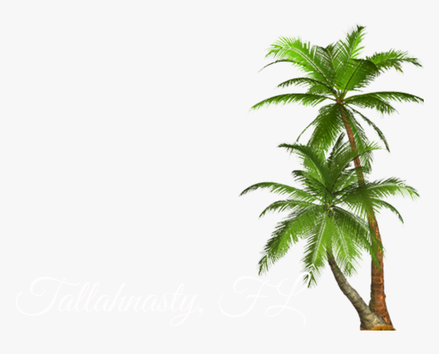 Transparent Palm Tree Png , Png Download - Transparent Background Palm Tree Png, Png Download, Free Download