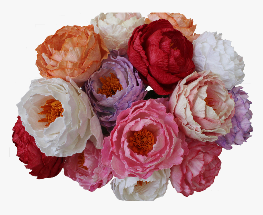 Rosa × Centifolia, HD Png Download, Free Download