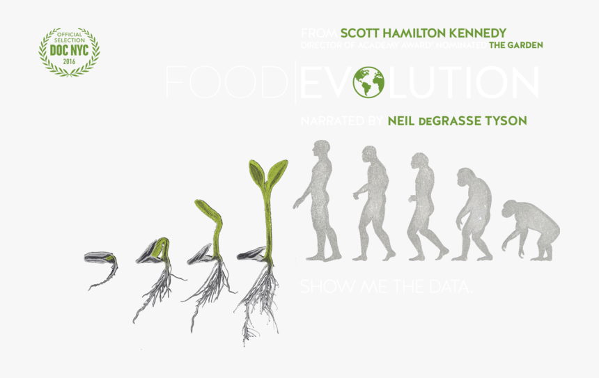 Food And Evolution, HD Png Download, Free Download