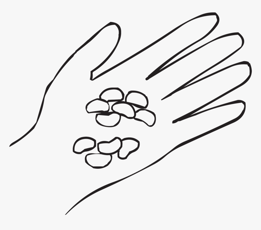 One Hand With Beans In The Palm As Seen In Fun Large - Line Art, HD Png Download, Free Download