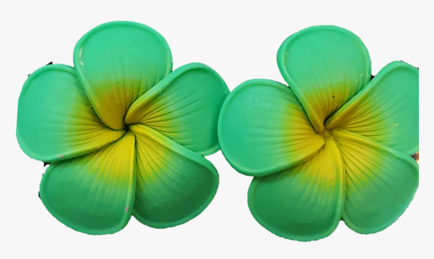 Small Green Plumeria Earrings - Frangipani, HD Png Download, Free Download