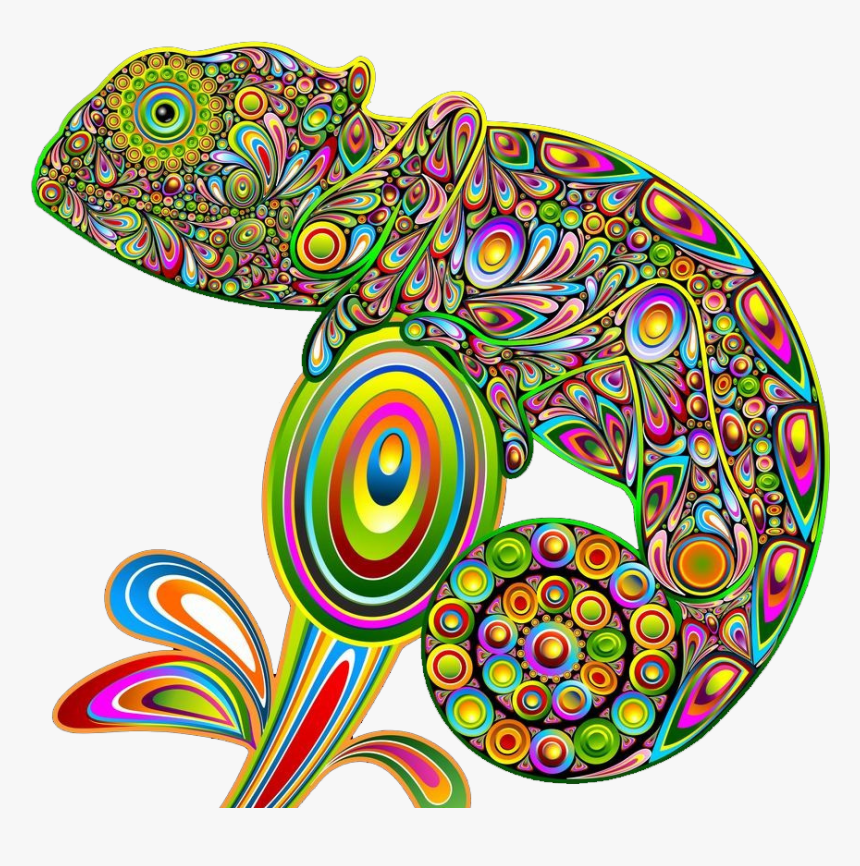 Chameleons Lizard Psychedelic Art Psychedelia Hand - Art Compose Of Shape, HD Png Download, Free Download