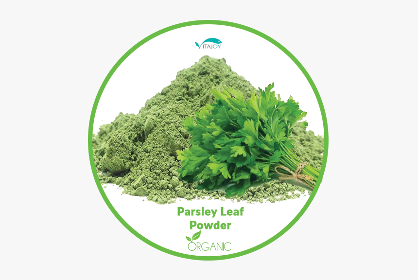 Parsley, HD Png Download, Free Download