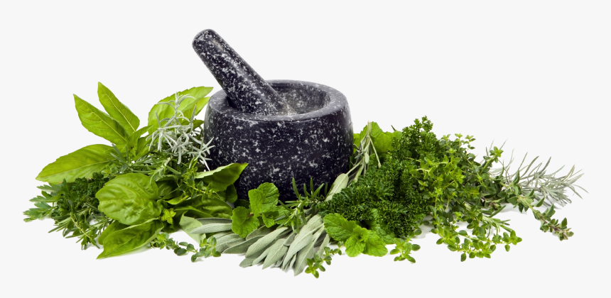 Mortar And Pestle,herb,leaf - Quotes On Home Remedies, HD Png Download, Free Download