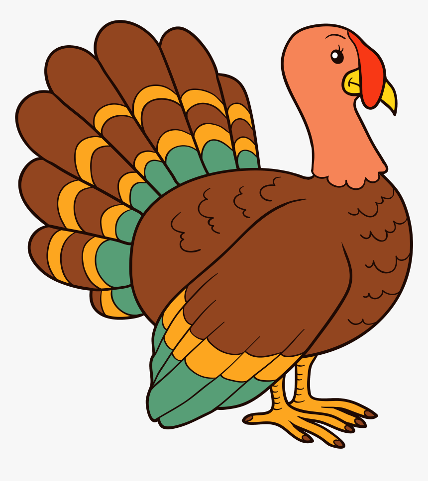 Turkey Bird Png - Turkey Clipart Transparent Background, Png Download, Free Download