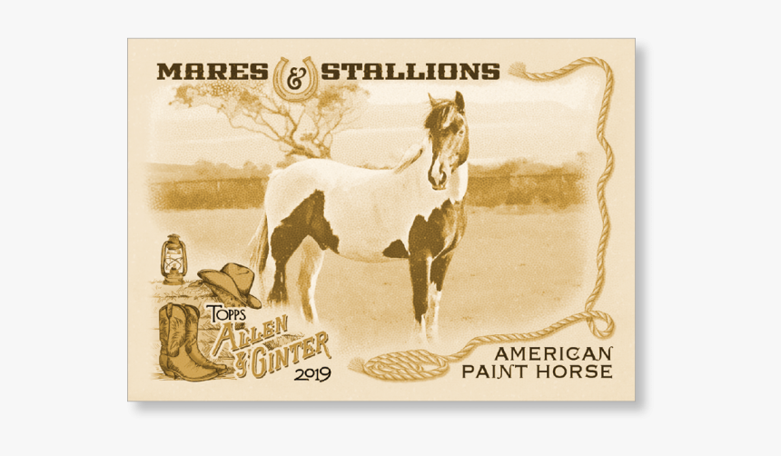 American Paint Horse 2019 Topps Allen & Ginter Oversized - Aadi Lagna Patrika, HD Png Download, Free Download