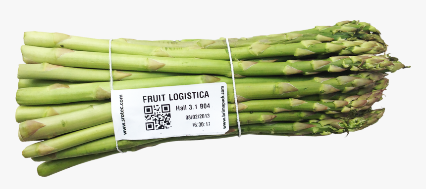 Verarbeitungssystem Spargel - Welsh Onion, HD Png Download, Free Download