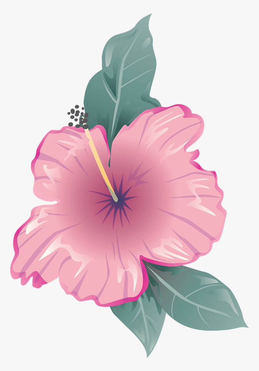 Flower, Icon, Symbol, Design, Flat, Decoration - Like Comment Subscribe Girly, HD Png Download, Free Download