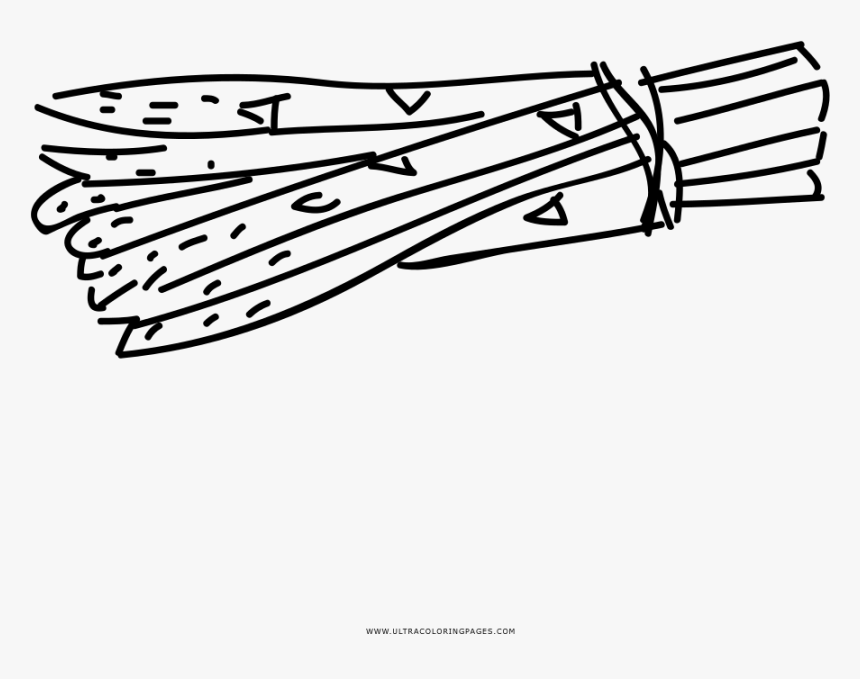 Hand Drawn Asparagus Coloring Page - Line Art, HD Png Download, Free Download