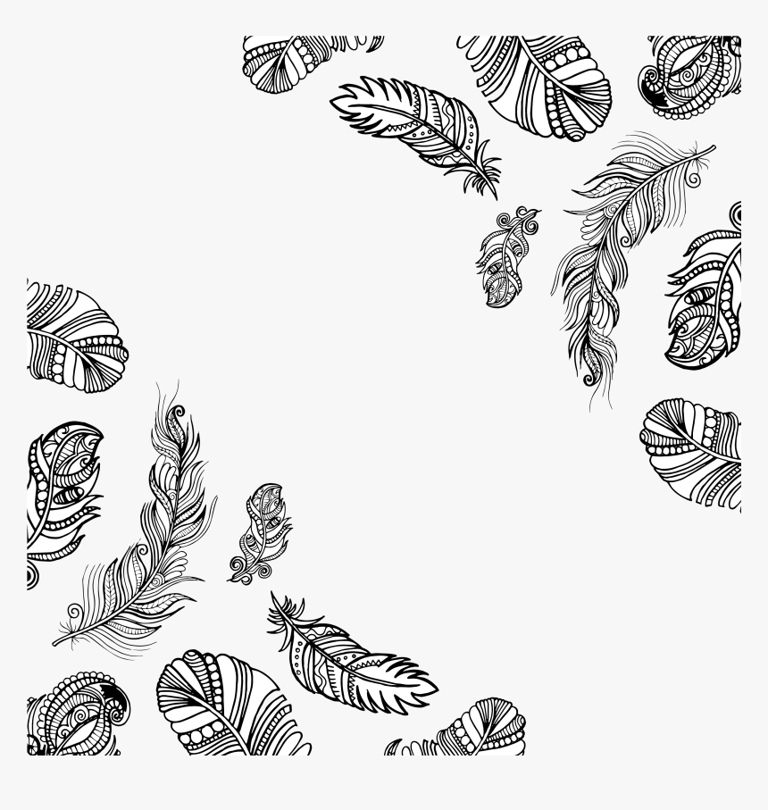 Black And White Feather - White Feather Png Border, Transparent Png, Free Download