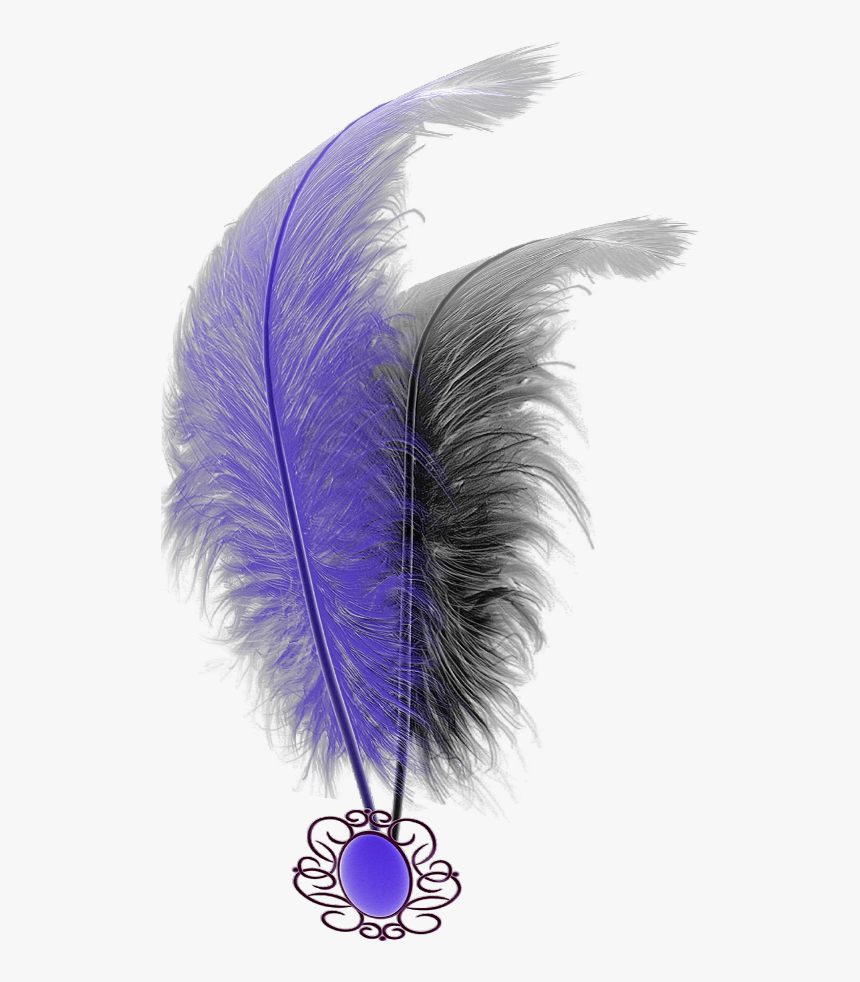 #mq #purple #black #feathers #feather - Feather, HD Png Download, Free Download