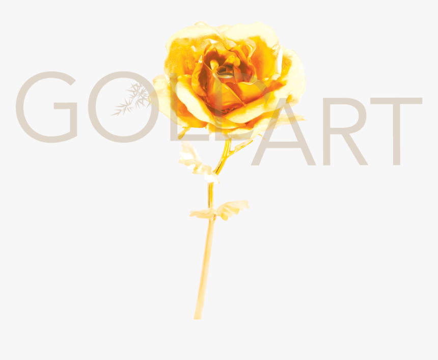 Gold Rose - Garden Roses, HD Png Download, Free Download