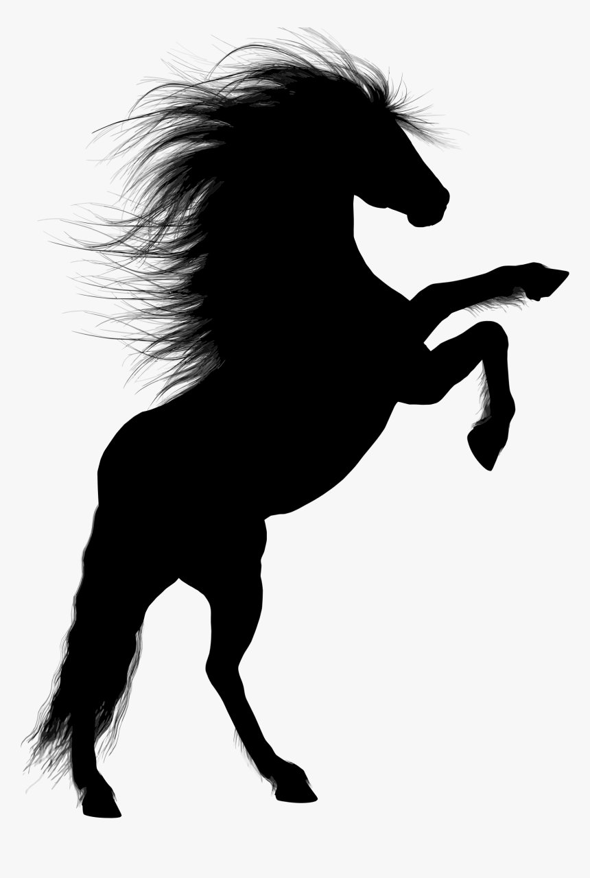 Rearing Horse Silhouette Transparent, HD Png Download, Free Download