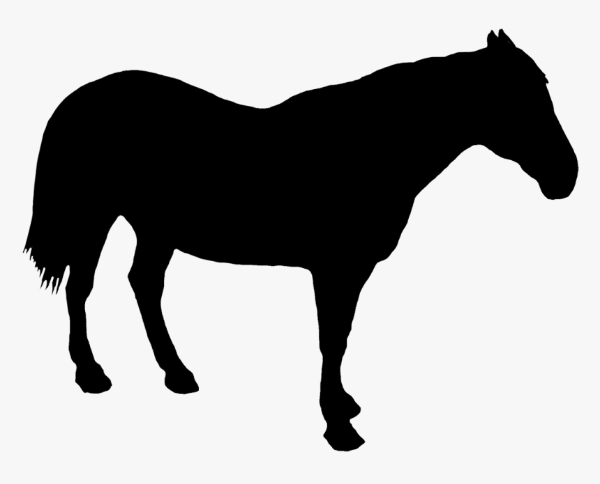 Horse Standing Silhouette - Saber Tooth Cat Silhouette, HD Png Download, Free Download