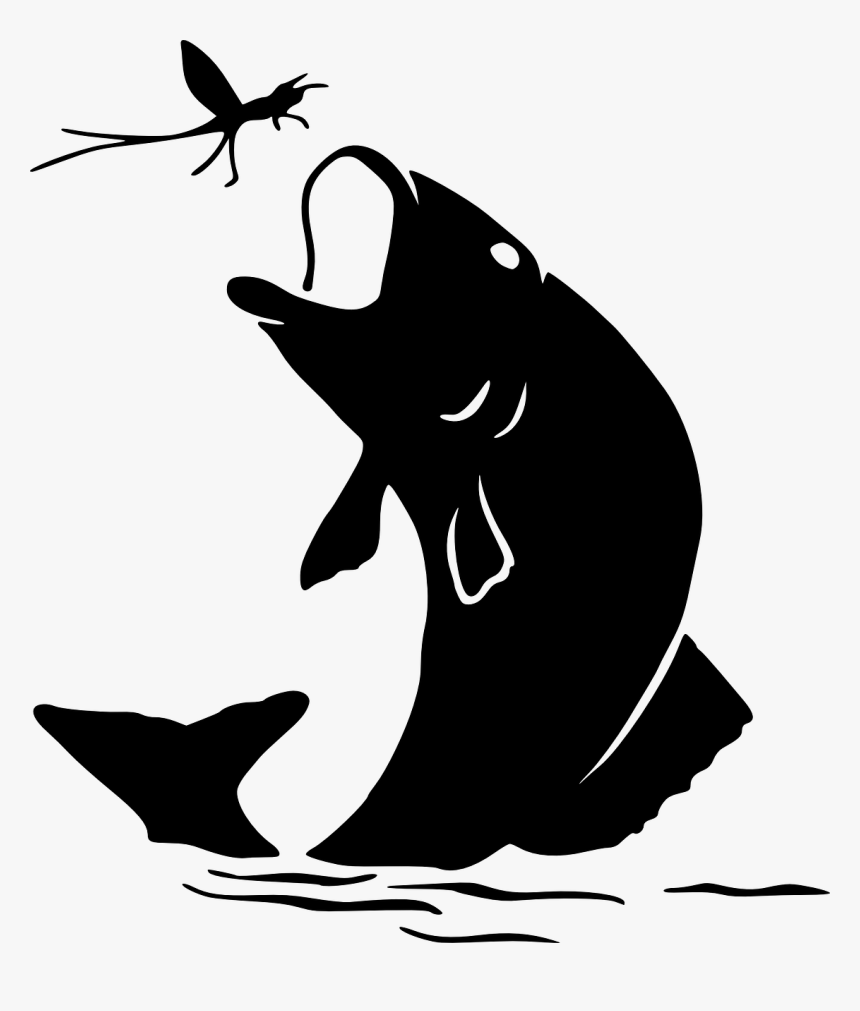 Fisherman Sports Fishing Pictures Graphics Free Download - Fish Silhouette Free, HD Png Download, Free Download