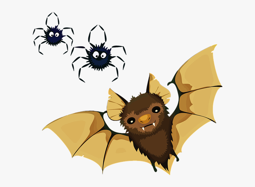 Animals, Bat, Decoration, Halloween, Spiders, Vampire - Little Brown Bat Clipart, HD Png Download, Free Download