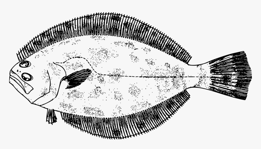 Flounder Clip Art, HD Png Download, Free Download