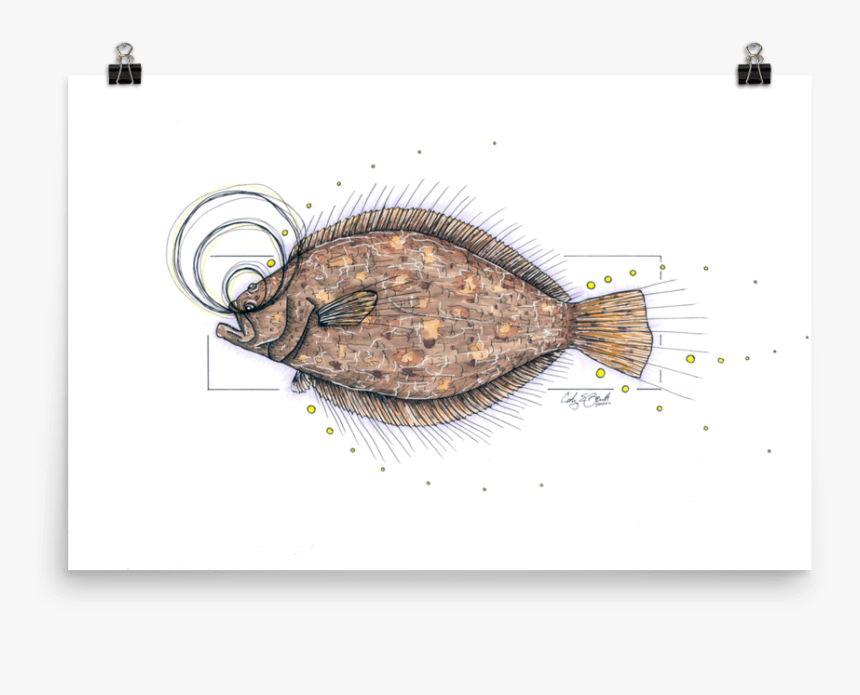 Flounder Poster - Sole, HD Png Download, Free Download