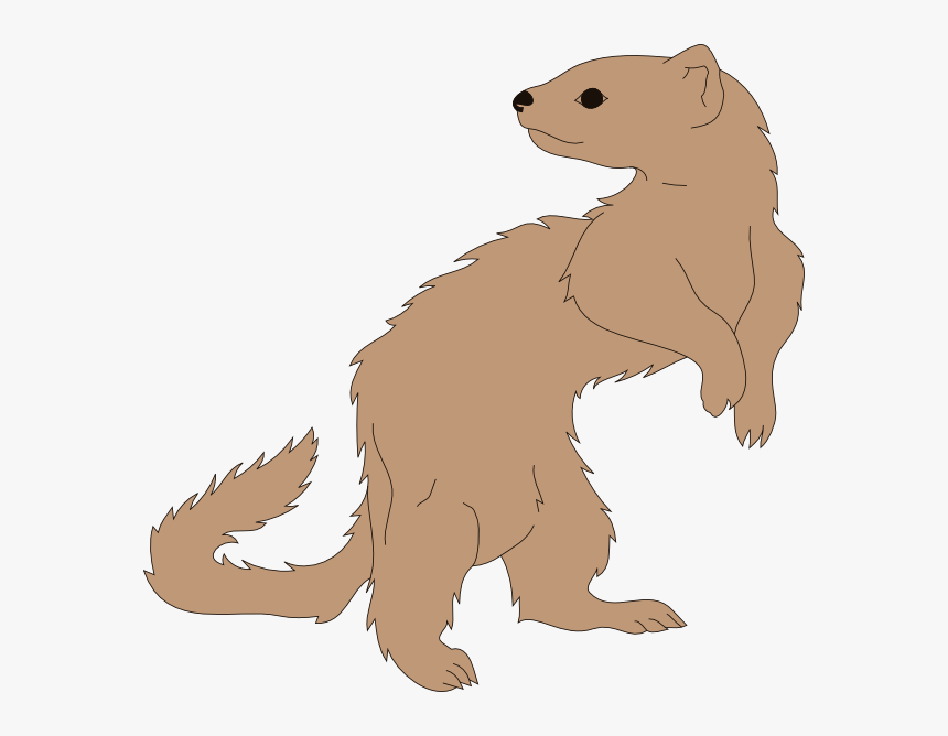 Ferret Looking Back Svg Clip Arts - Clipart Ferret, HD Png Download, Free Download