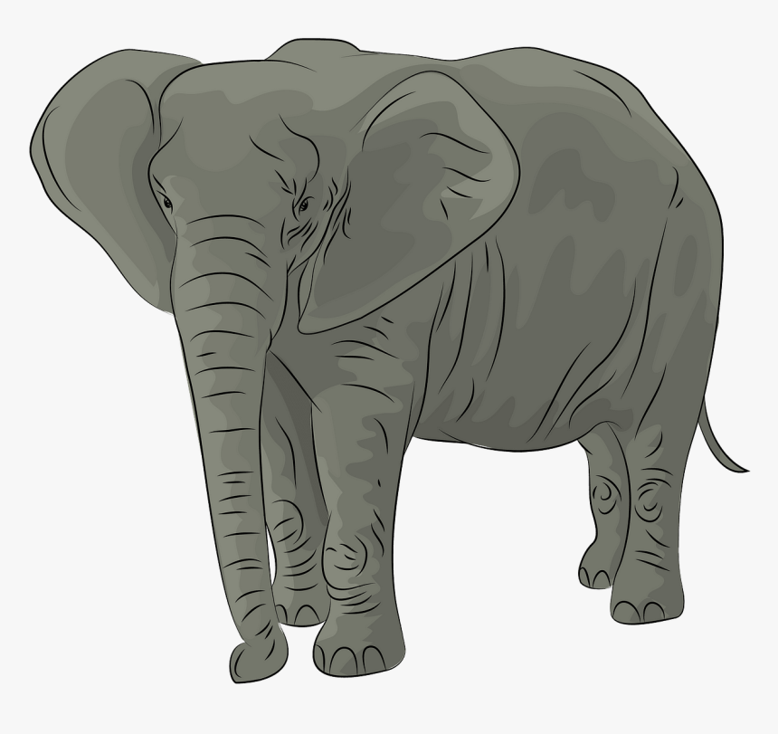 Картинка слона для детей на прозрачном фоне. Слон мультяшный. Слоники мультяшные. Слоны мультяшные. Слон для детей на прозрачном фоне.