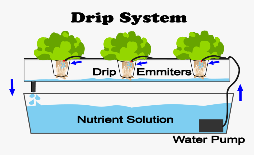 Hydroponics Types, HD Png Download, Free Download