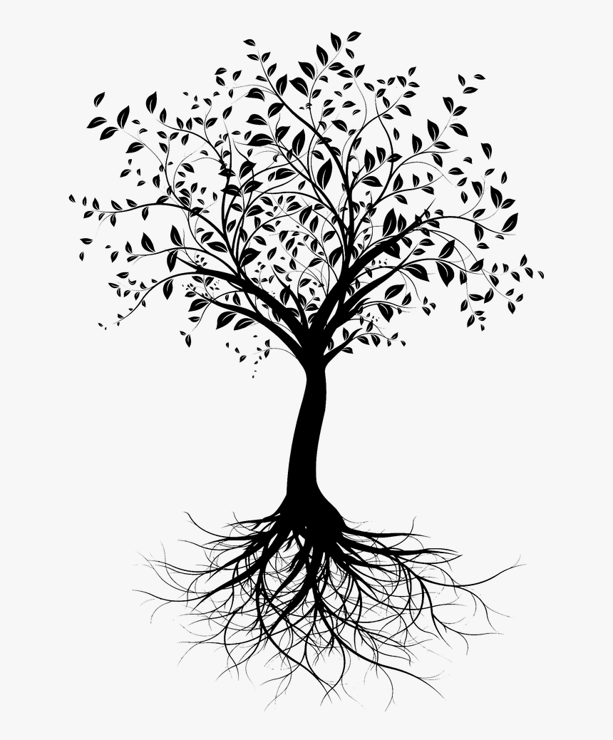 Tattoo Image Lynn Rendez Vous Sante Tree Root - Arbre Noir Et Blanc, HD Png Download, Free Download