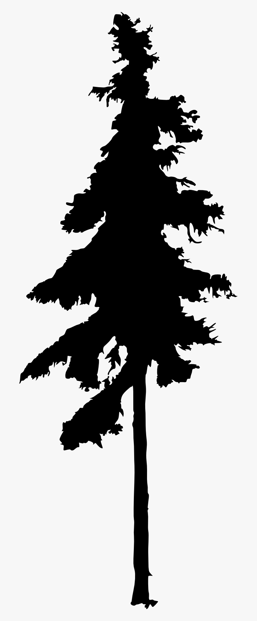 Roots Clipart Pine Tree - Pine Tree Silhouette Free, HD Png Download, Free Download