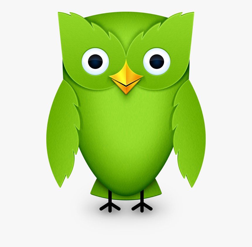 Duolingo Bird, HD Png Download, Free Download