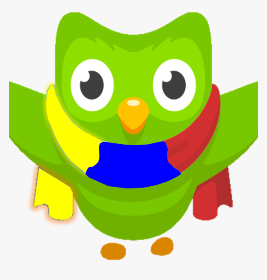 Duolingo Bird Png Bird Wallpaper - roblox duolingo pants